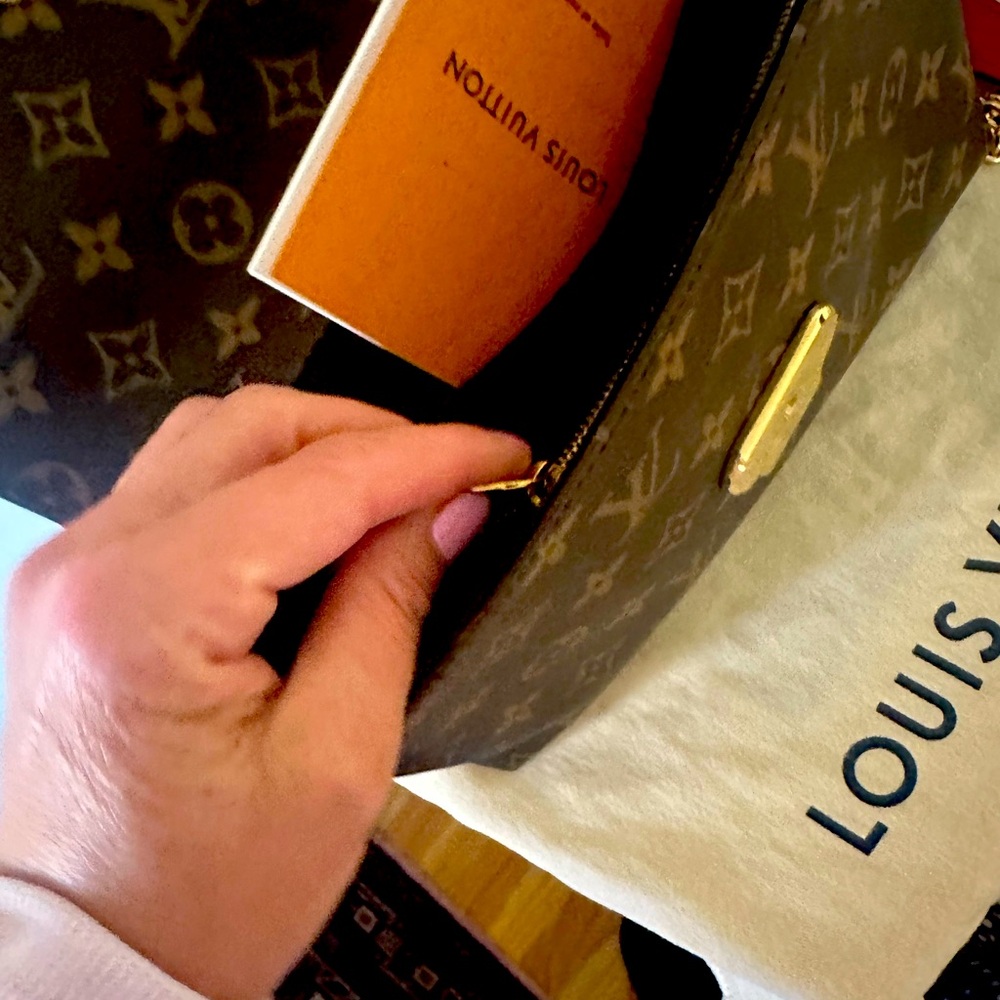 Louis Vuitton purse woman